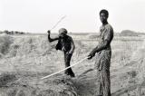 international spraying pesticides 1990 Farmers UFW US CFU Canada Workers Farm