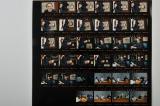 1994-1995 Parrot Martin Riche white photos bios