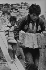 Child Labour