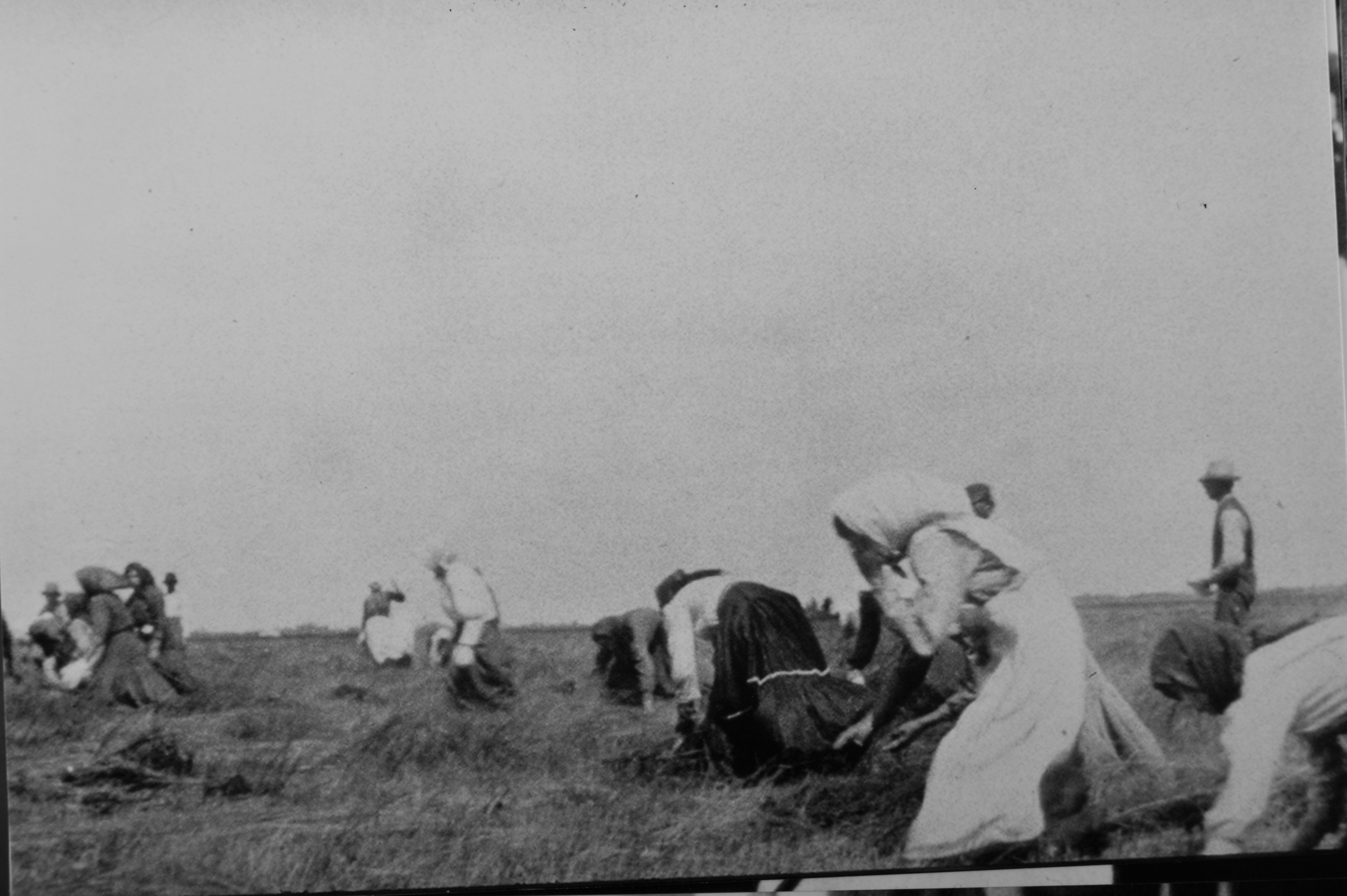History a noble heritage slide show women in canadian labour