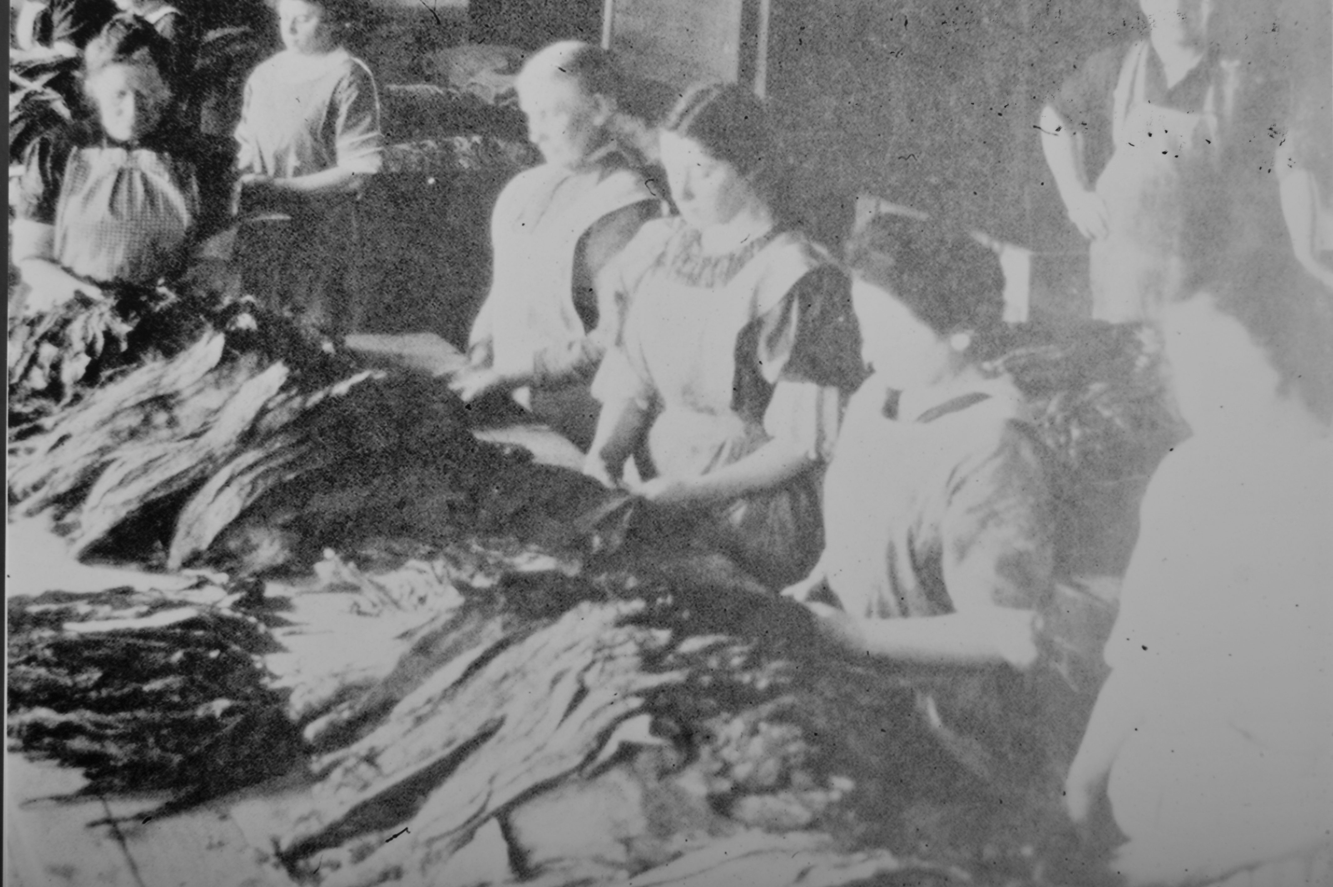 History a noble heritage slide show women in canadian labour