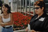 1999 Labour College Toronto stomping chaos