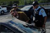1999 Labour College Toronto stomping chaos