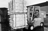 Longshoremen