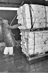 Longshoremen