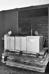 Longshoremen