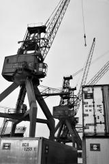 Longshoremen