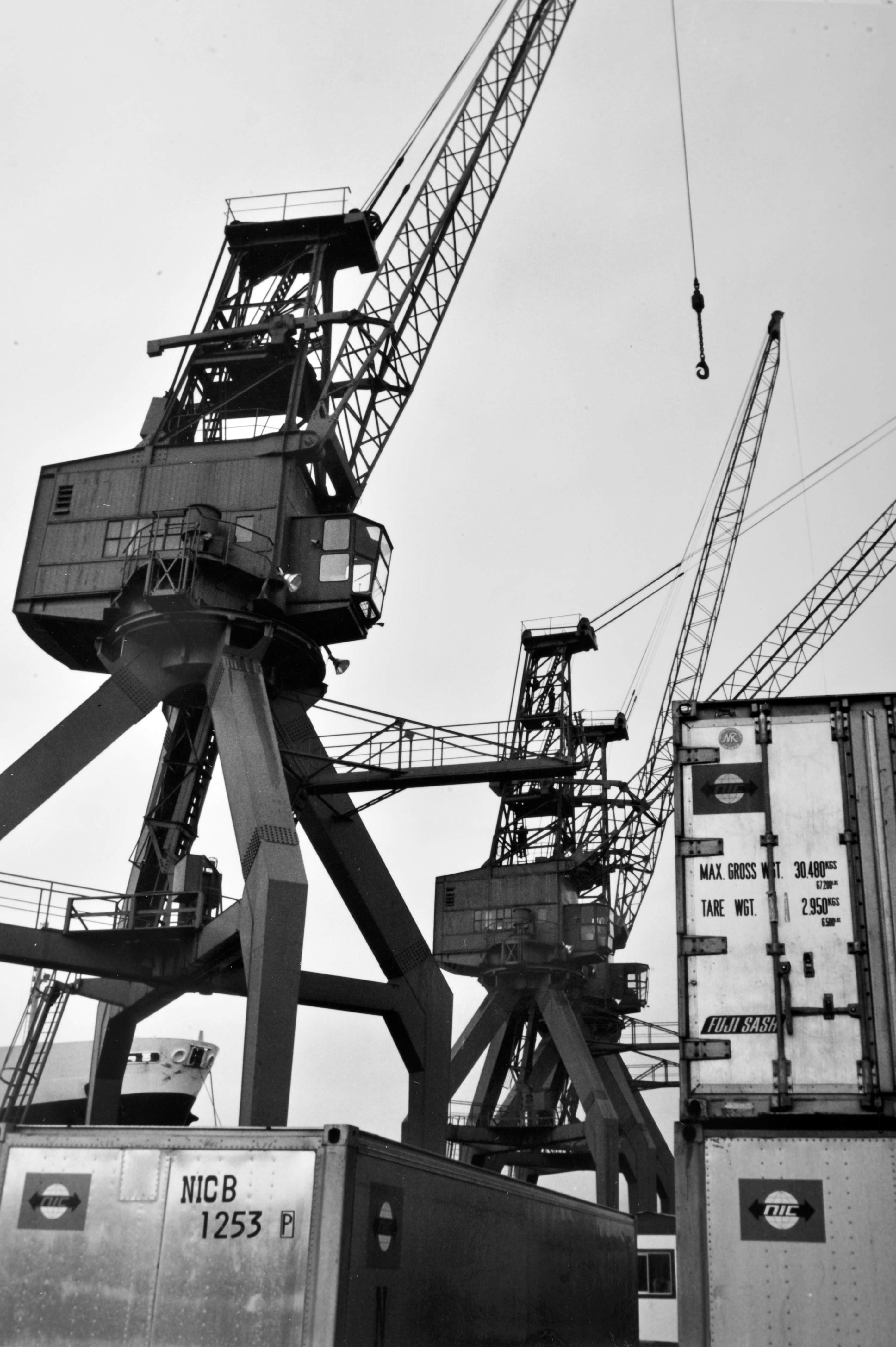 Longshoremen