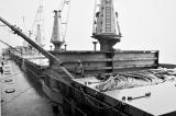 Longshoremen