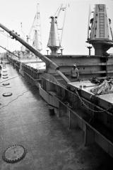 Longshoremen