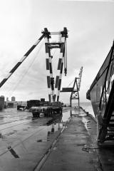 Longshoremen