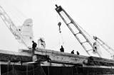 Longshoremen