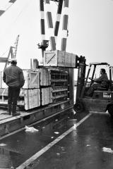 Longshoremen