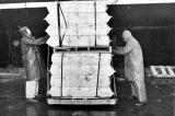 Longshoremen
