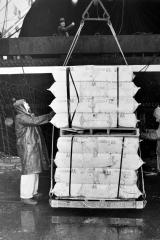 Longshoremen