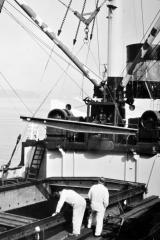 Longshoremen