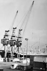 Longshoremen