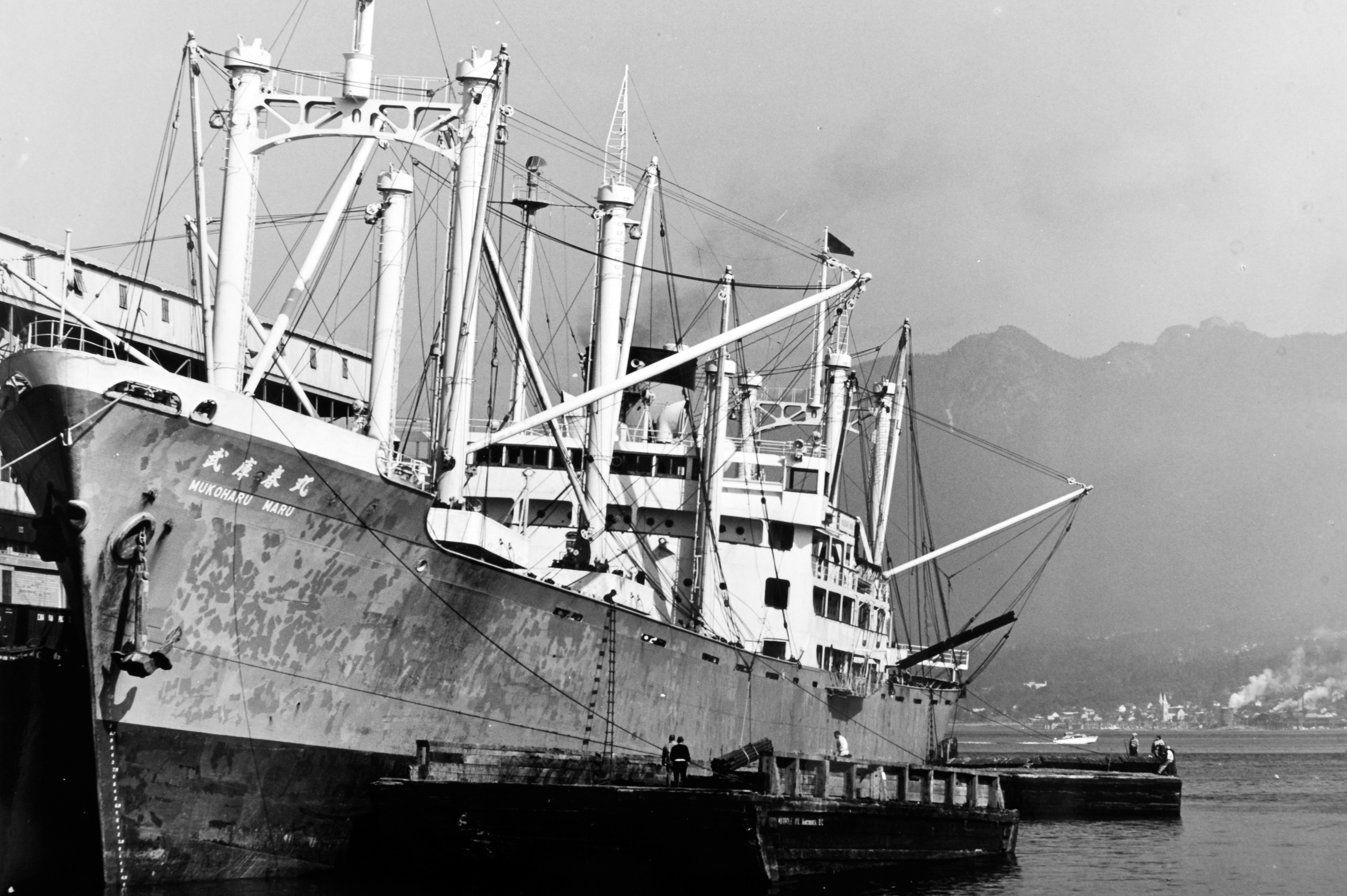 shipping